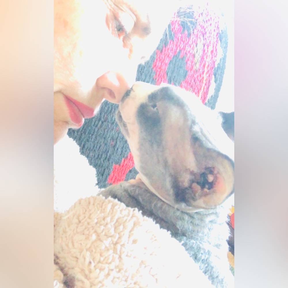 Meet your Posher, Katharina